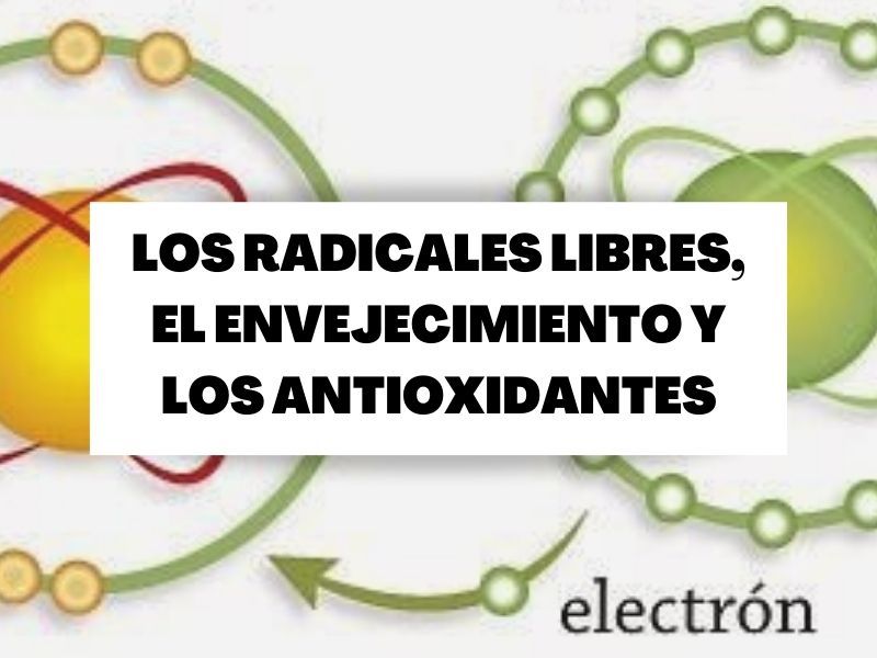 Los radicales libres, el envejecimiento y los antioxidantes
